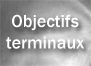 Objectifs terminaux et interm�diaires